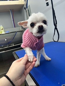 Needed A Big Shave Down