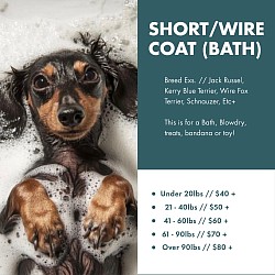Short/Wire Coat (Bath)