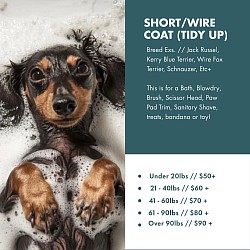 Short/Wire Coat (Tidy Up)