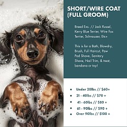 Short/Wire Coat (Full Groom)