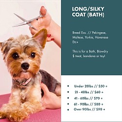 Long/Silky Coat (Bath)