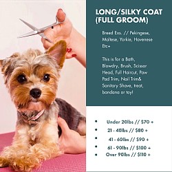 Long/Silky Coat (Full groom)